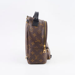 Louis Vuitton Palm Springs Mini