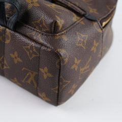 Louis Vuitton Palm Springs Mini