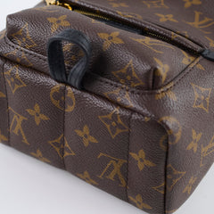 Louis Vuitton Palm Springs Mini
