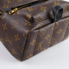Louis Vuitton Palm Springs Mini