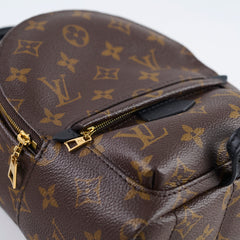 Louis Vuitton Palm Springs Mini