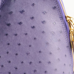 Louis Vuitton Purple Ostrich Alma PM