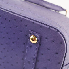 Louis Vuitton Purple Ostrich Alma PM