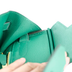 Hermes Birkin 30 Vert Vertigo GHW Evercolor C Stamp