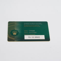 Rolex Oyster Perpetual 41MM Green Dial 124300 2022