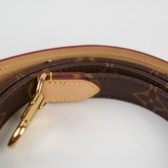 Louis Vuitton Dog Leash and Collar MM M82100