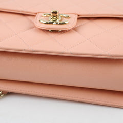 Chanel Seasonal Flap Caviar Peach / Pink