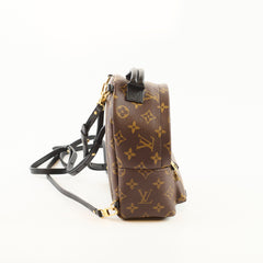 Louis Vuitton Palm Springs Mini Monogram
