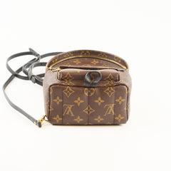 Louis Vuitton Palm Springs Mini Monogram