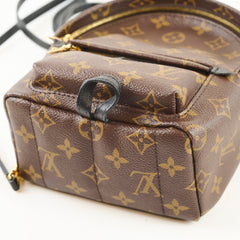 Louis Vuitton Palm Springs Mini Monogram