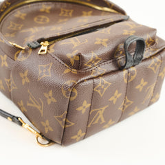Louis Vuitton Palm Springs Mini Monogram