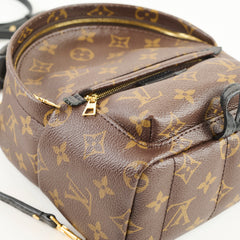 Louis Vuitton Palm Springs Mini Monogram