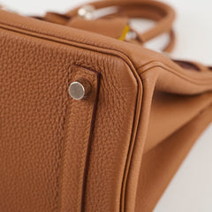 Hermès Birkin 25 Limited Edition Officer Gold/Ambre Togo PHW- C Stamp
