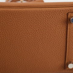 Hermès Birkin 25 Limited Edition Officer Gold/Ambre Togo PHW- C Stamp