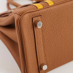 Hermès Birkin 25 Limited Edition Officer Gold/Ambre Togo PHW- C Stamp