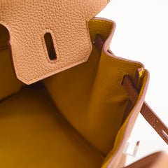 Hermès Birkin 25 Limited Edition Officer Gold/Ambre Togo PHW- C Stamp