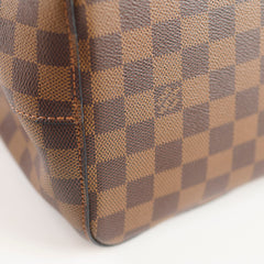 Louis Vuitton Neo Noe Damier Ebene