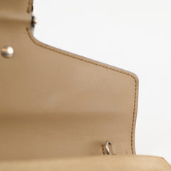 Gucci Dionysus WOC Suede Brown