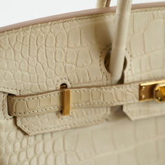 Hermes Birkin 25 Beton Alligator Matte B Stamp