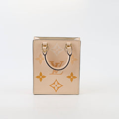 Louis Vuitton Petit Sac Plat By The Pool
