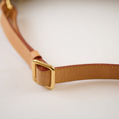 Louis Vuitton Monogram Bumbag