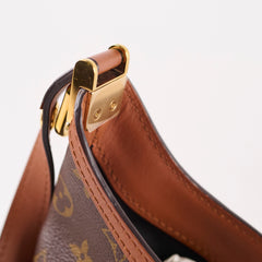 Louise Vuitton Dauphine Hobo PM Reverse Monogram Reverse