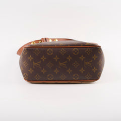 Louise Vuitton Dauphine Hobo PM Reverse Monogram Reverse