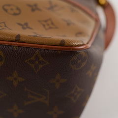 Louise Vuitton Dauphine Hobo PM Reverse Monogram Reverse