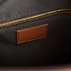 Louise Vuitton Dauphine Hobo PM Reverse Monogram Reverse