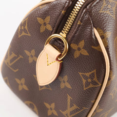 Louis Vuitton Speedy 20 Monogram