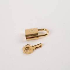 Louis Vuitton Speedy 20 Monogram