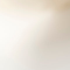 Louis Vuitton Monogram Shine Shawl Greige