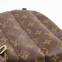 Louis Vuitton Palm Springs Mini Monogram (New Zipper Style)