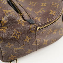 Louis Vuitton Palm Springs Mini Monogram (New Zipper Style)