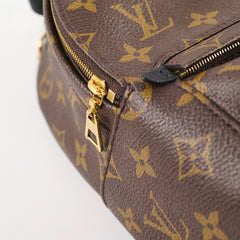 Louis Vuitton Palm Springs Mini Monogram (New Zipper Style)