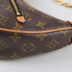 Louis Vuitton Loop Monogram Bag