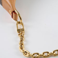 Louis Vuitton Loop Monogram Bag