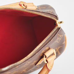 Louis Vuitton Speedy 20 Bandouliere Monogram