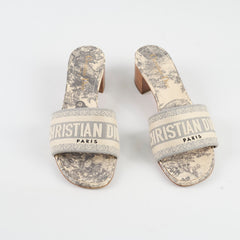 Christian Dior Dway Heel Size 36