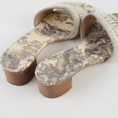 Christian Dior Dway Heel Size 36