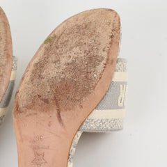 Christian Dior Dway Heel Size 36