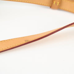 Louis Vuitton Saumur 30 Messenger Monogram