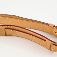 Louis Vuitton Saumur 30 Messenger Monogram