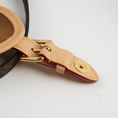 Louis Vuitton Excursion  Backpack Monogram Microchip