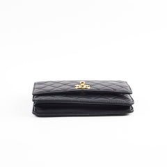 Chanel Trendy CC Lambskin Wallet on Chain WOC Black Series 24