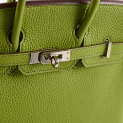 Hermes Birkin 25 Togo PHW Vert Anis M Square Stamp