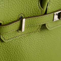 Hermes Birkin 25 Togo PHW Vert Anis M Square Stamp