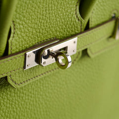 Hermes Birkin 25 Togo PHW Vert Anis M Square Stamp