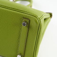 Hermes Birkin 25 Togo PHW Vert Anis M Square Stamp