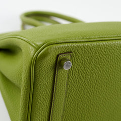 Hermes Birkin 25 Togo PHW Vert Anis M Square Stamp